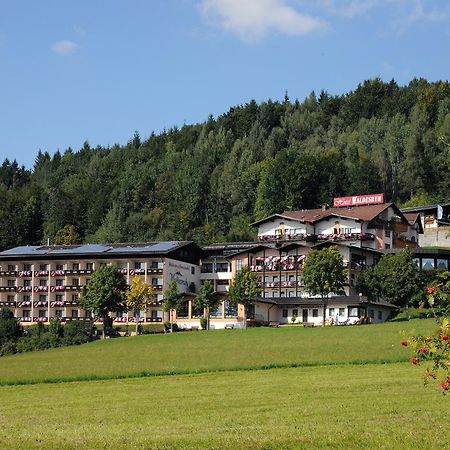 Wellness- Und Ferienhotel Waldesruh Bodenmais Luaran gambar
