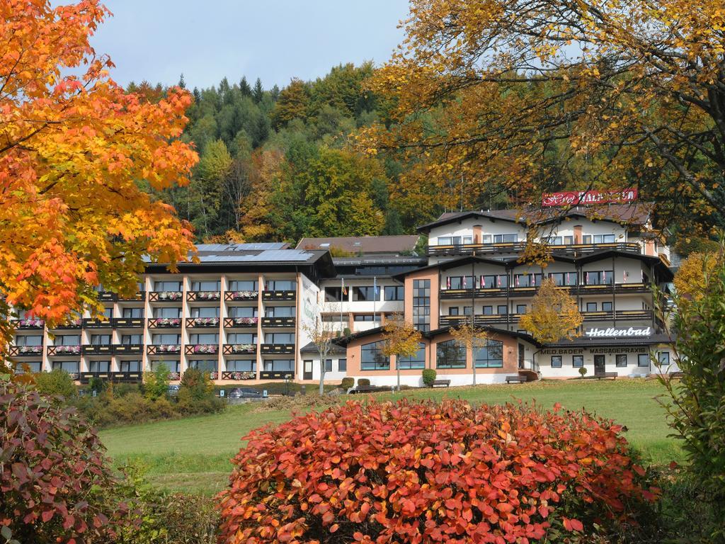 Wellness- Und Ferienhotel Waldesruh Bodenmais Luaran gambar