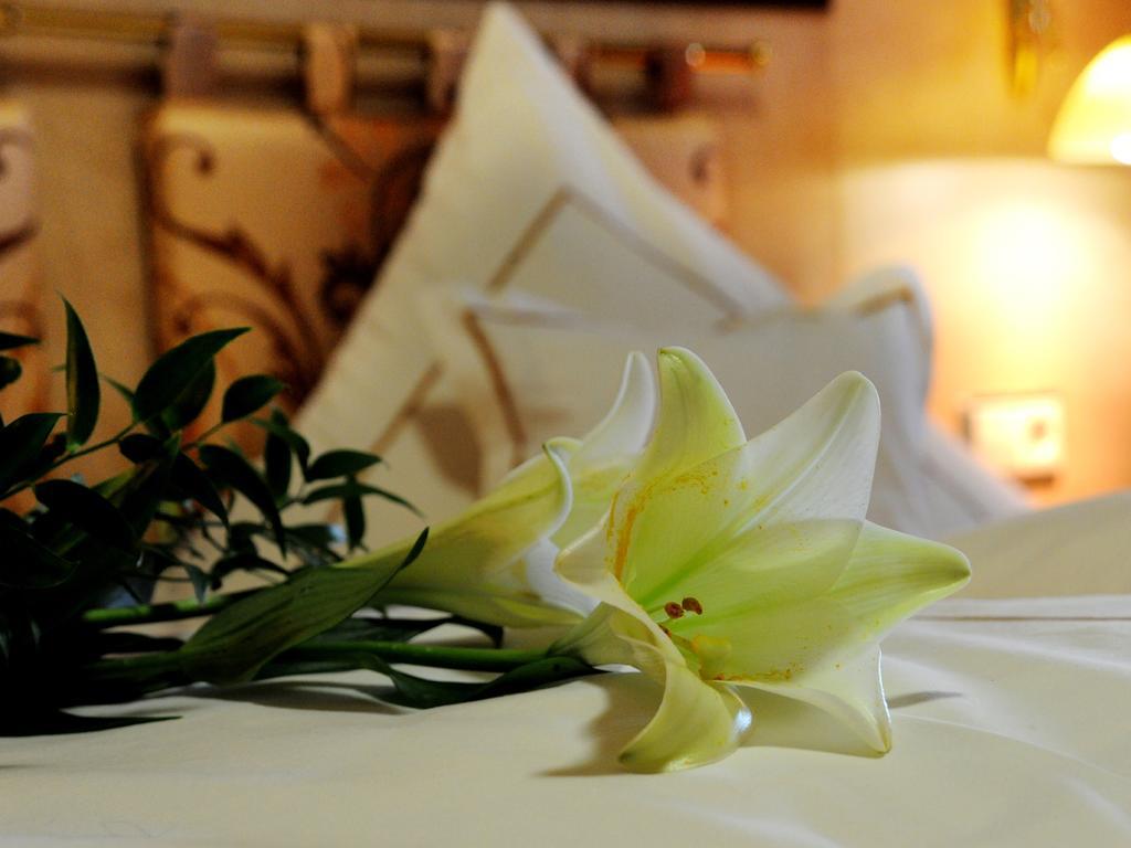 Wellness- Und Ferienhotel Waldesruh Bodenmais Bilik gambar